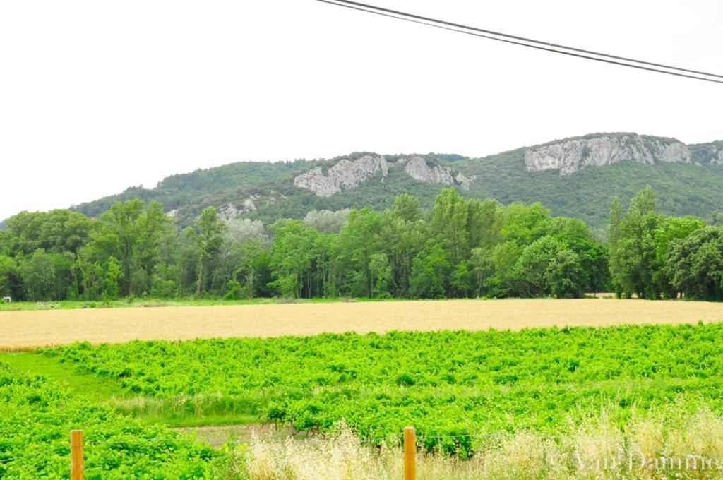 Gites Du Domaine Des Dames Vallon-Pont-dʼArc Exterior foto