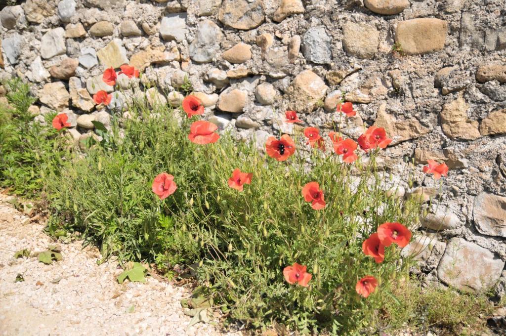 Gites Du Domaine Des Dames Vallon-Pont-dʼArc Zimmer foto